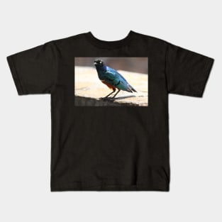 Superb Starling, Kenya Kids T-Shirt